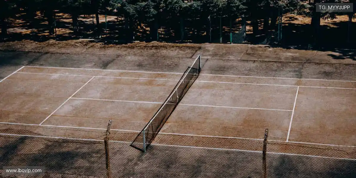 🏀 一键解锁高清赛事,与全球球迷同频狂欢!🎉